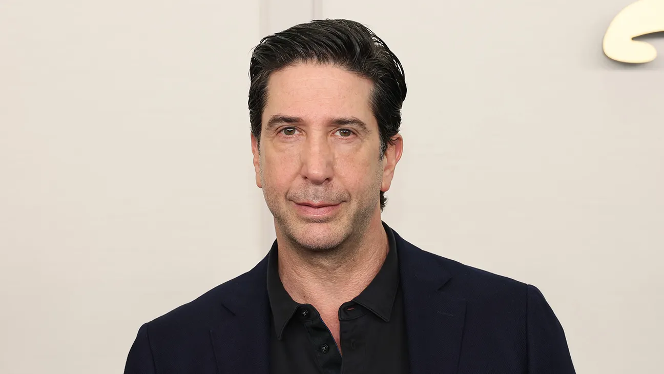 david schwimmer