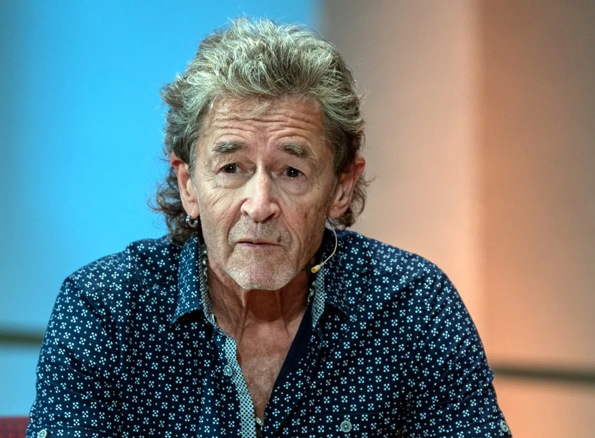 vermögen peter maffay